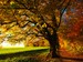 fall concerts in vancouver